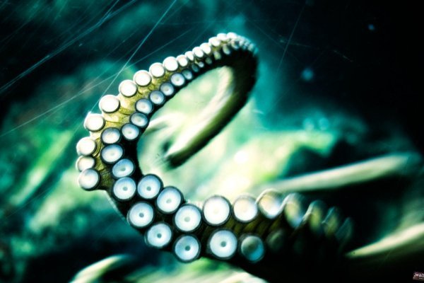 Kraken ссылки актуальные 2025 г