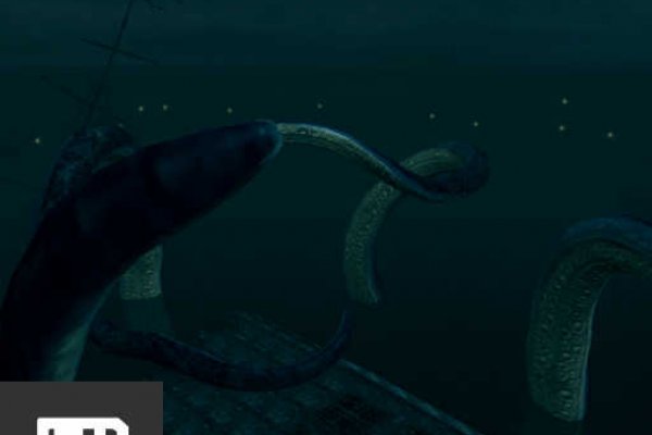 Kraken tor marketplace