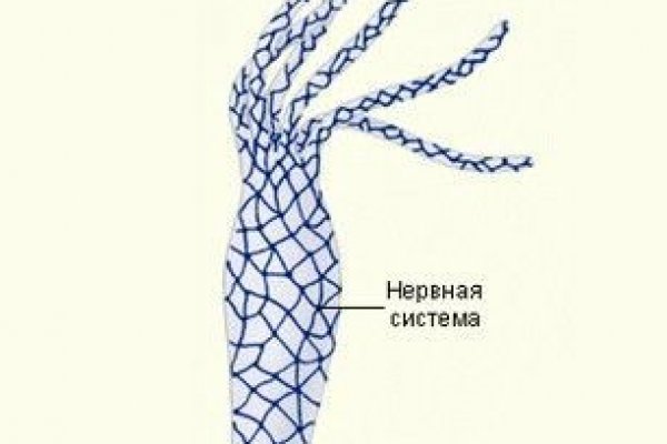 Кракен ссылка зеркало