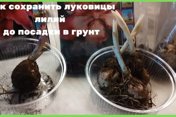 Ссылка на кракен krawebes