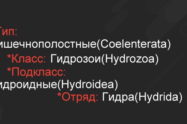 Кракен тор gigageek ru