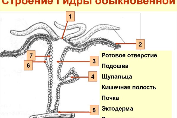 Кракен сайт ссылка kr2web in