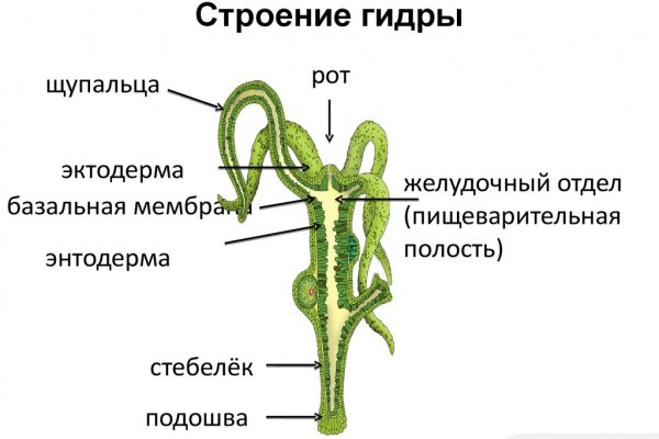 Кракен зеркало на тор
