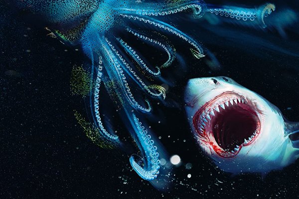 Кракен магазин kraken4am com