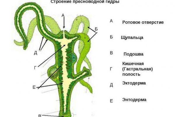 Как сделать заказ на кракен