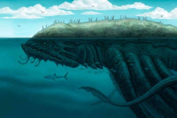 Kraken 17 at