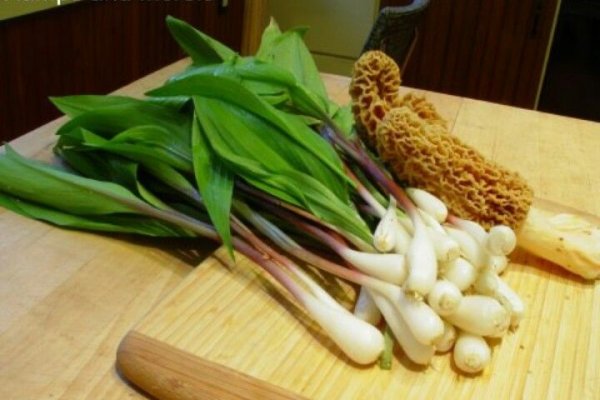 Можно вывести деньги с кракена
