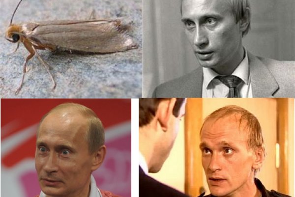 Кракен супернет войти