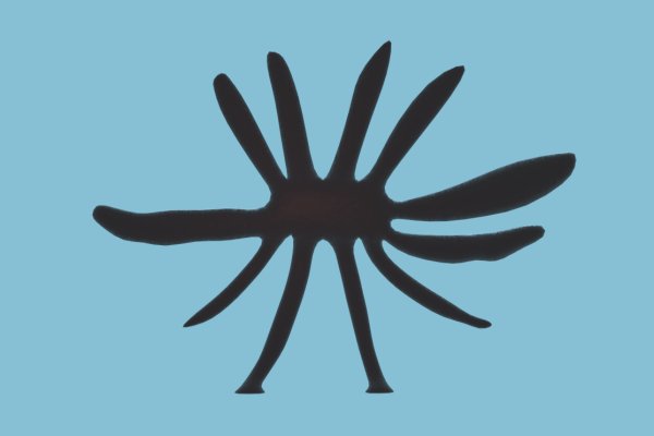 Кракен площадка торговая kr2web in