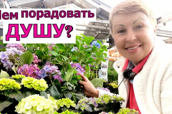 Как зайти на кракен