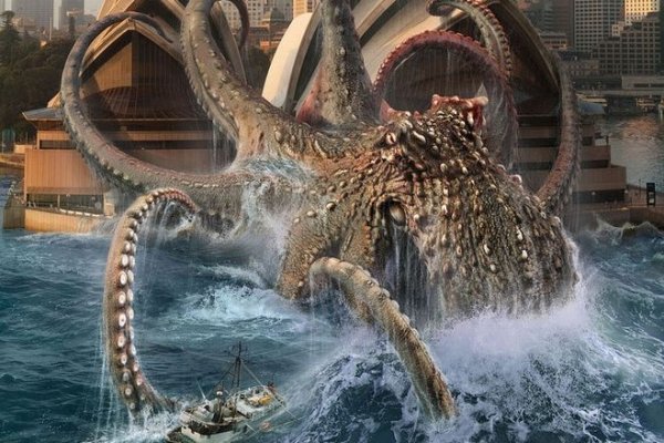 Kraken маркет whitenet только через tor
