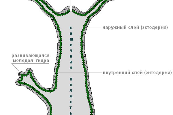 Кракен купить порошок