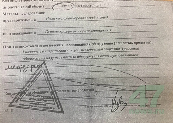 Зеркало на кракен